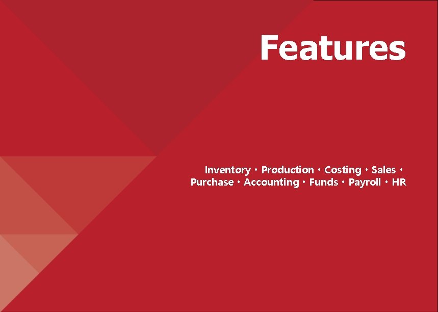 Features InventoryㆍProductionㆍCostingㆍSalesㆍ PurchaseㆍAccountingㆍFundsㆍPayrollㆍHR 