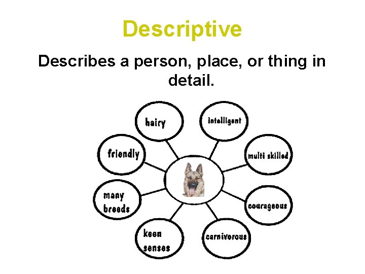 Descriptive Describes a person, place, or thing in detail. 