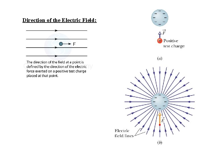 Direction of the Electric Field: 