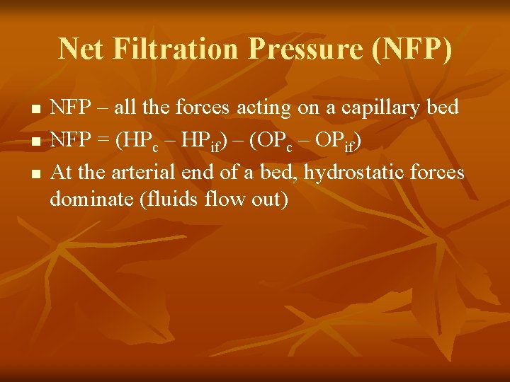 Net Filtration Pressure (NFP) n n n NFP – all the forces acting on