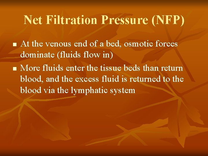 Net Filtration Pressure (NFP) n n At the venous end of a bed, osmotic