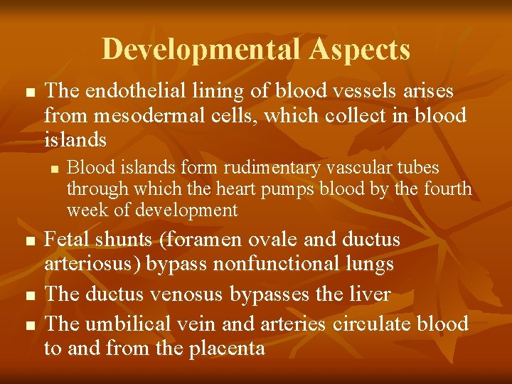 Developmental Aspects n The endothelial lining of blood vessels arises from mesodermal cells, which