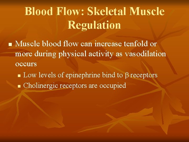 Blood Flow: Skeletal Muscle Regulation n Muscle blood flow can increase tenfold or more