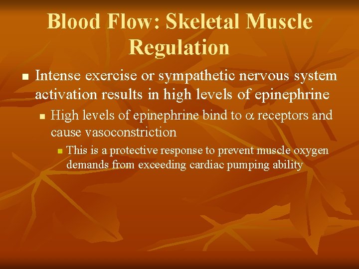Blood Flow: Skeletal Muscle Regulation n Intense exercise or sympathetic nervous system activation results