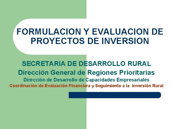 FORMULACION Y EVALUACION DE PROYECTOS DE INVERSION SECRETARIA DE DESARROLLO RURAL Dirección General de