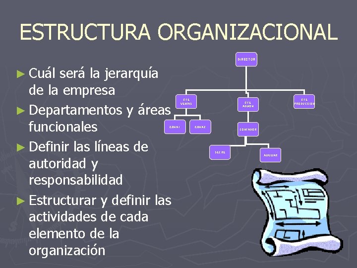 ESTRUCTURA ORGANIZACIONAL DIRECTOR ► Cuál será la jerarquía de la empresa ► Departamentos y