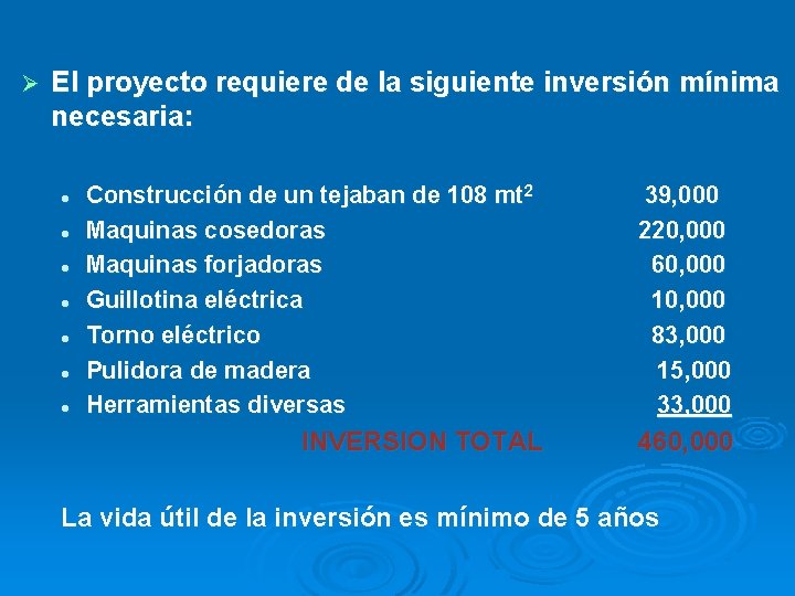 Ø El proyecto requiere de la siguiente inversión mínima necesaria: l l l l