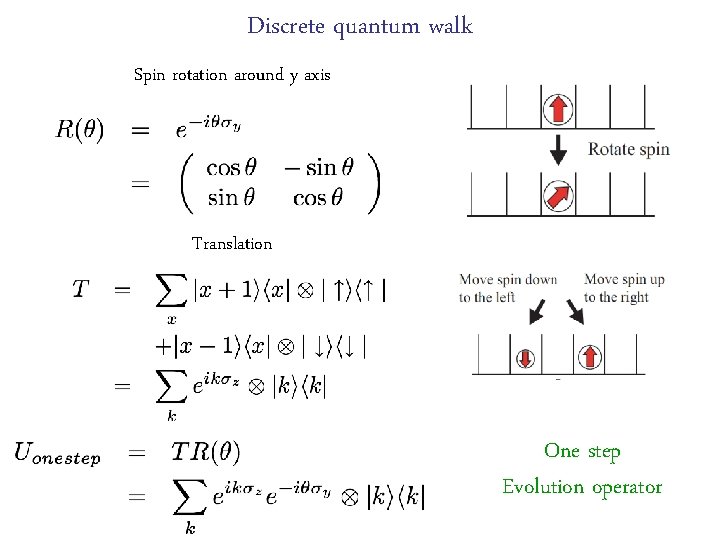 Discrete quantum walk Spin rotation around y axis Translation One step Evolution operator 