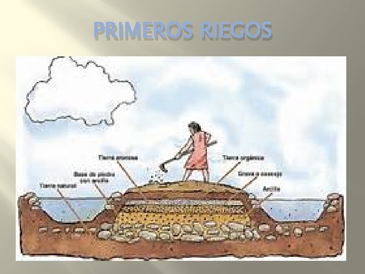 PRIMEROS RIEGOS 