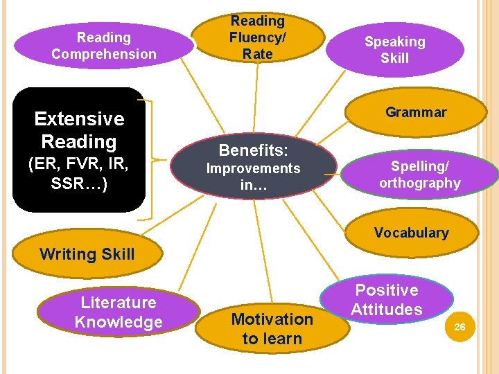 Reading Comprehension Extensive Reading (ER, FVR, IR, SSR…) Reading Fluency/ Rate Speaking Skill Grammar