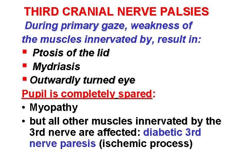 THIRD CRANIAL NERVE PALSIES During primary gaze, weakness of the muscles innervated by, result