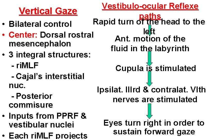  • • • Vestibulo-ocular Reflexe Vertical Gaze paths Rapid turn of the head