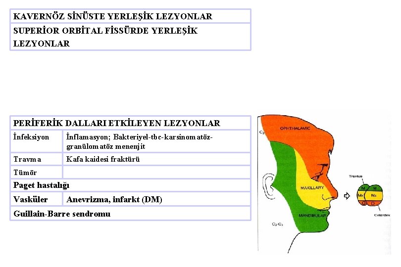 KAVERNÖZ SİNÜSTE YERLEŞİK LEZYONLAR SUPERİOR ORBİTAL FİSSÜRDE YERLEŞİK LEZYONLAR PERİFERİK DALLARI ETKİLEYEN LEZYONLAR İnfeksiyon
