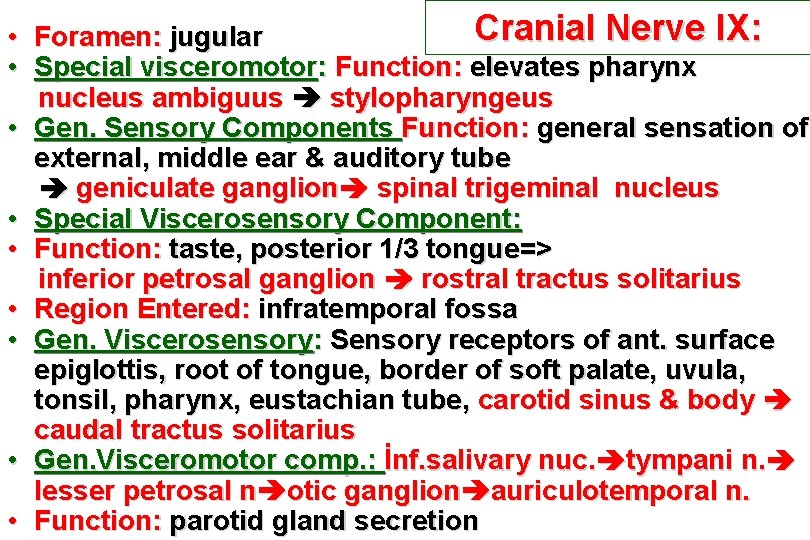 Cranial Nerve IX: • Foramen: jugular • Special visceromotor: Function: elevates pharynx nucleus ambiguus