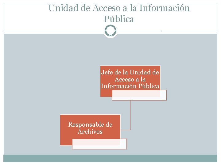 Unidad de Acceso a la Información Pública Jefe de la Unidad de Acceso a