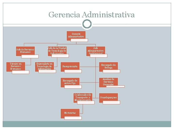 Gerencia Administrativa Gerente Administrativo Jefe de Recursos Humanos Técnico en Recursos Humanos Jefe de