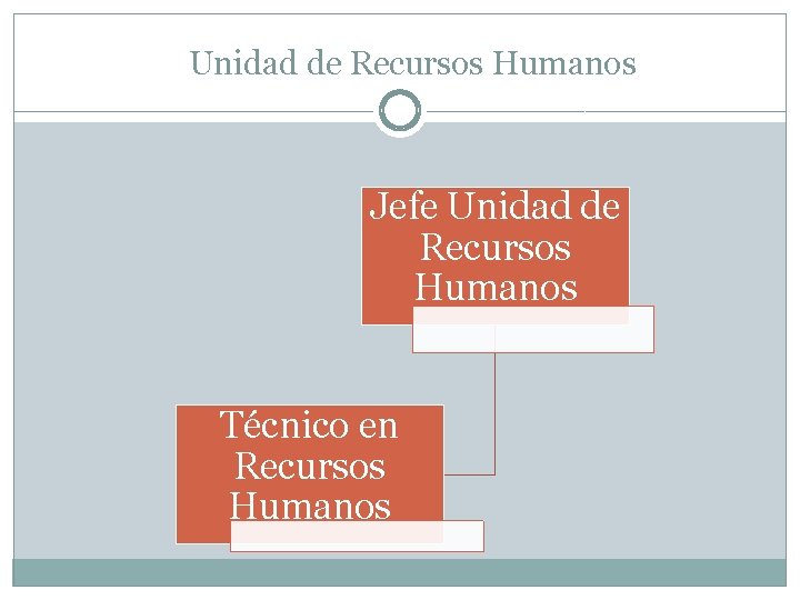 Unidad de Recursos Humanos Jefe Unidad de Recursos Humanos Técnico en Recursos Humanos 
