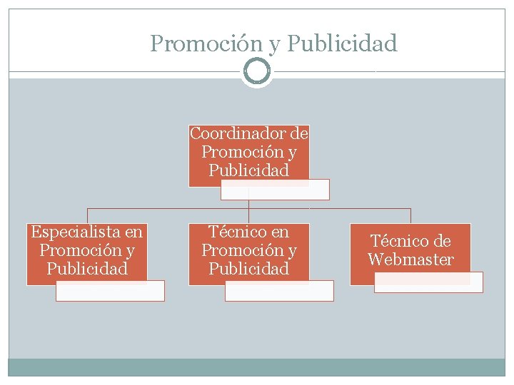 Promoción y Publicidad Coordinador de Promoción y Publicidad Especialista en Promoción y Publicidad Técnico