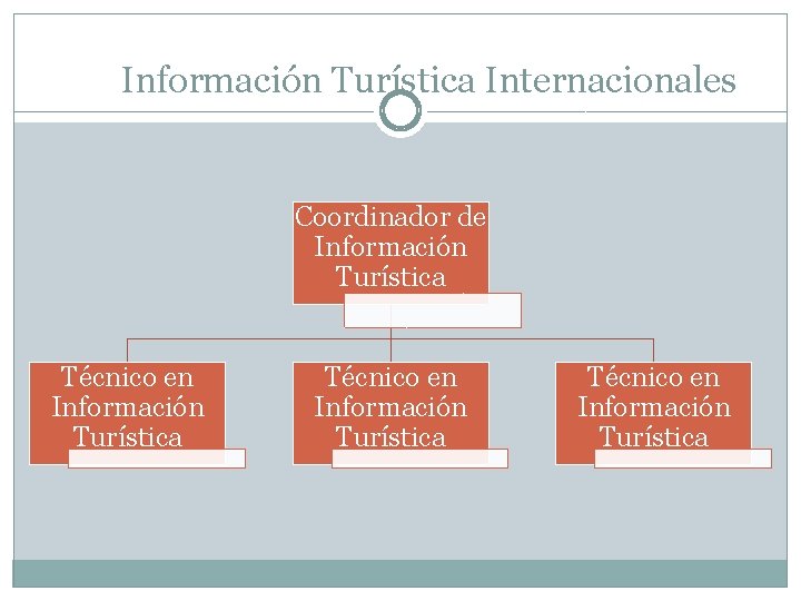 Información Turística Internacionales Coordinador de Información Turística Técnico en Información Turística 