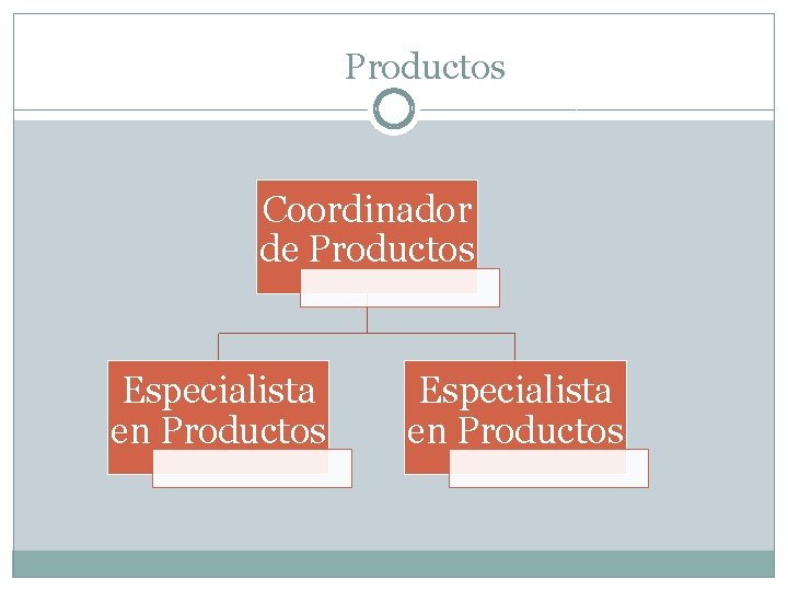 Productos Coordinador de Productos Especialista en Productos 