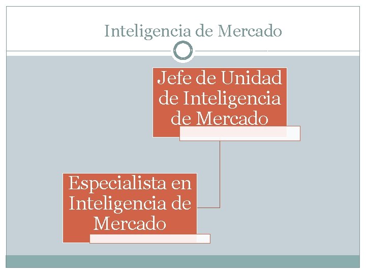 Inteligencia de Mercado Jefe de Unidad de Inteligencia de Mercado Especialista en Inteligencia de