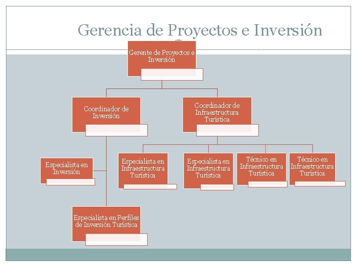 Gerencia de Proyectos e Inversión Gerente de Proyectos e Inversión Coordinador de Inversión Especialista