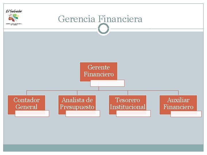 Gerencia Financiera Gerente Financiero Contador General Analista de Presupuesto Tesorero Institucional Auxiliar Financiero 