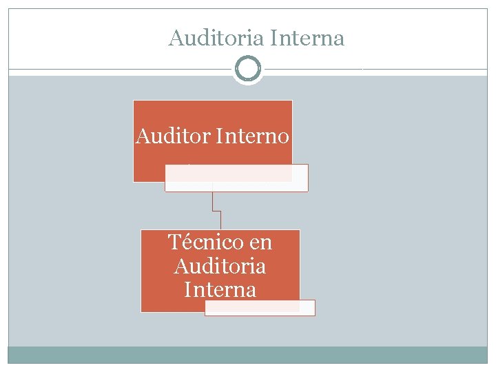 Auditoria Interna Auditor Interno Técnico en Auditoria Interna 