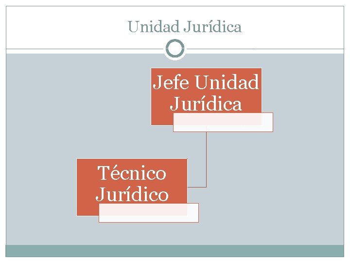 Unidad Jurídica Jefe Unidad Jurídica Técnico Jurídico 