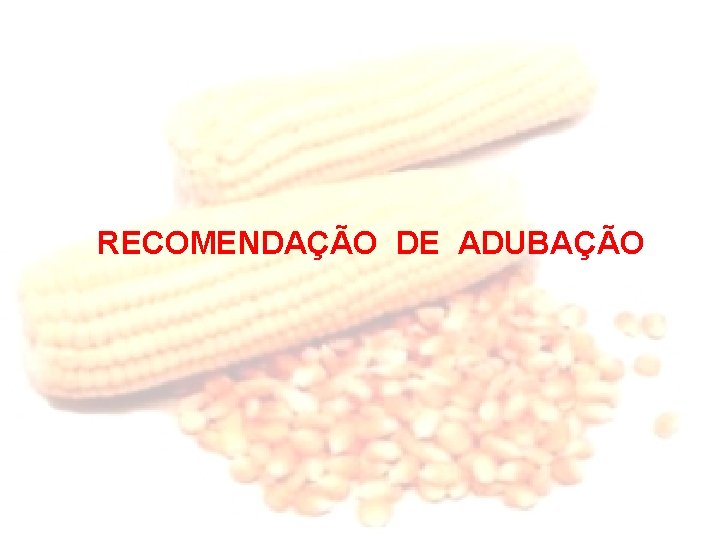 RECOMENDAÇÃO DE ADUBAÇÃO 