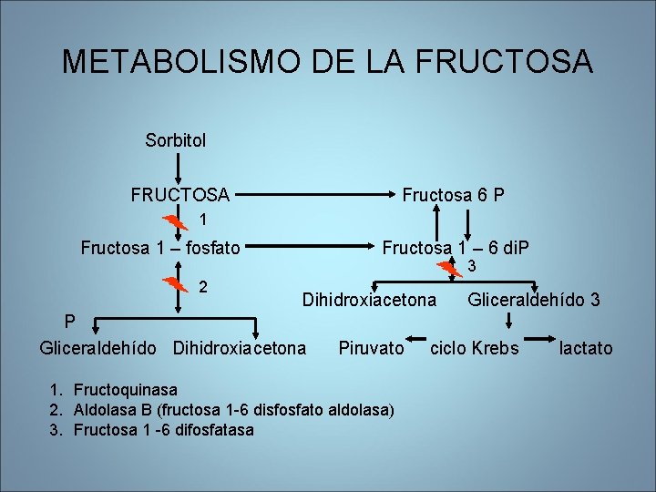 METABOLISMO DE LA FRUCTOSA Sorbitol FRUCTOSA Fructosa 6 P 1 Fructosa 1 – fosfato METABOLISMO DE LA FRUCTOSA Sorbitol FRUCTOSA Fructosa 6 P 1 Fructosa 1 – fosfato