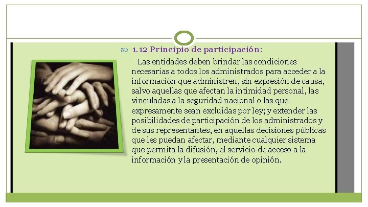  1. 12 Principio de participación: Las entidades deben brindar las condiciones necesarias a