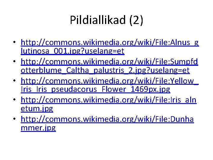Pildiallikad (2) • http: //commons. wikimedia. org/wiki/File: Alnus_g lutinosa_001. jpg? uselang=et • http: //commons.