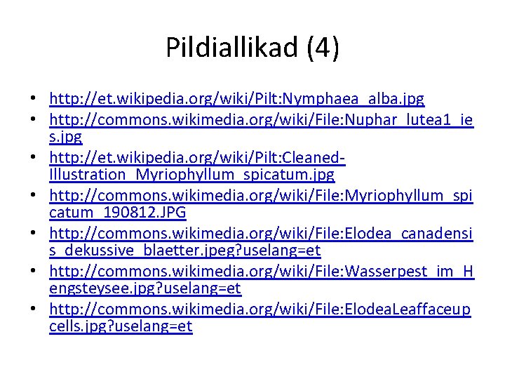 Pildiallikad (4) • http: //et. wikipedia. org/wiki/Pilt: Nymphaea_alba. jpg • http: //commons. wikimedia. org/wiki/File: