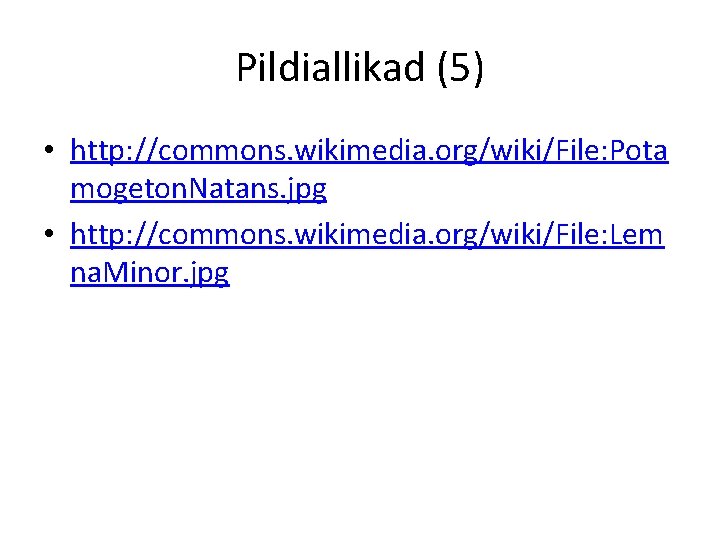 Pildiallikad (5) • http: //commons. wikimedia. org/wiki/File: Pota mogeton. Natans. jpg • http: //commons.