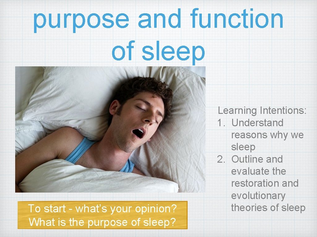 purpose and function of sleep To start - what’s your opinion? What is the