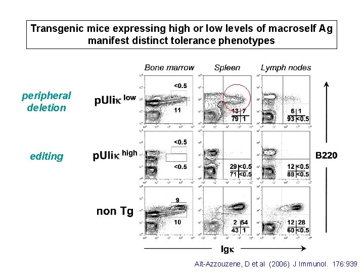 Transgenic mice expressing high or low levels of macroself Ag manifest distinct tolerance phenotypes Transgenic mice expressing high or low levels of macroself Ag manifest distinct tolerance phenotypes
