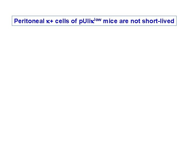 Peritoneal k+ cells of p. UIiklow mice are not short-lived Peritoneal k+ cells of p. UIiklow mice are not short-lived