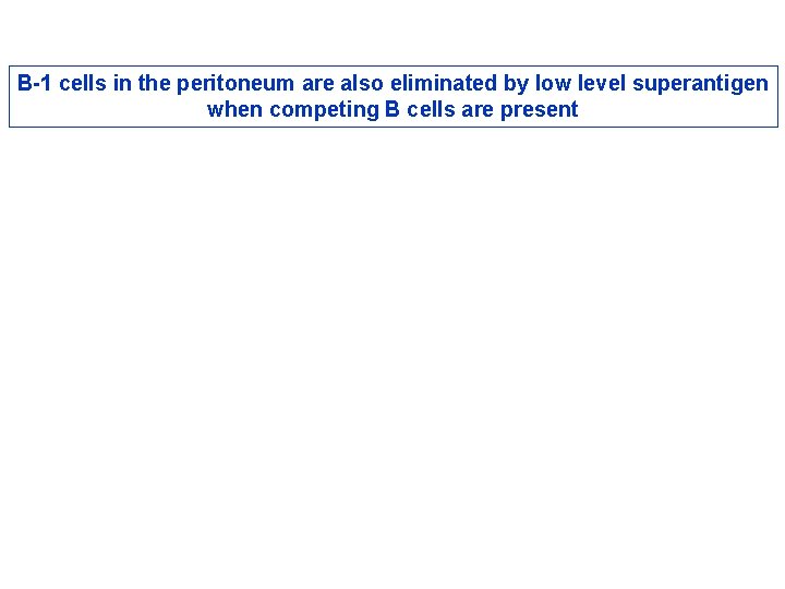 B-1 cells in the peritoneum are also eliminated by low level superantigen when competing B-1 cells in the peritoneum are also eliminated by low level superantigen when competing