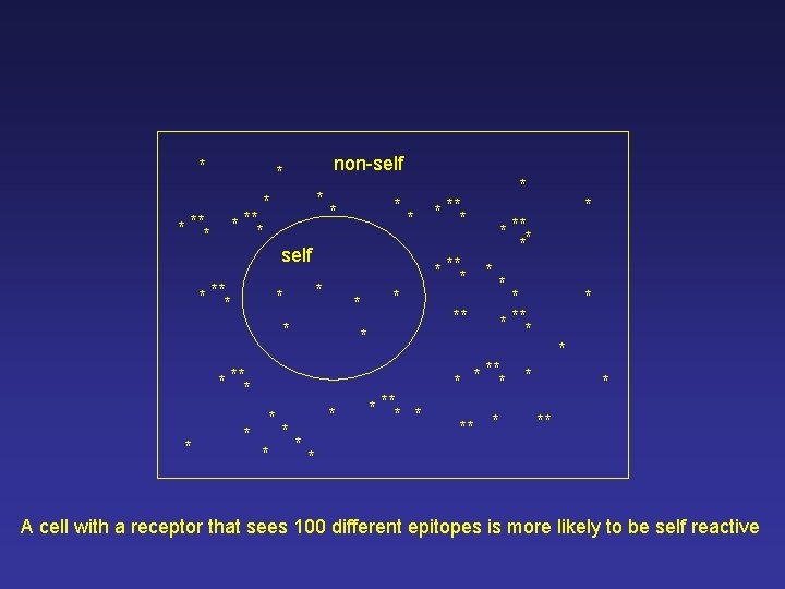 * non-self * * *** * self * *** * * * *** * * non-self * * *** * self * *** * * * *** *