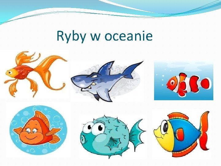 Ryby w oceanie 