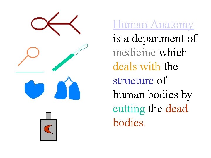 Human Anatomy is a department of medicine which deals with the structure of human