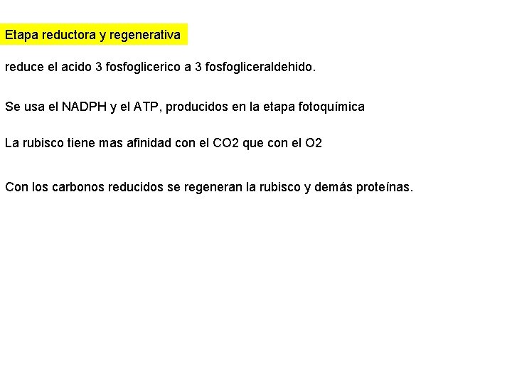 Etapa reductora y regenerativa reduce el acido 3 fosfoglicerico a 3 fosfogliceraldehido. Se usa