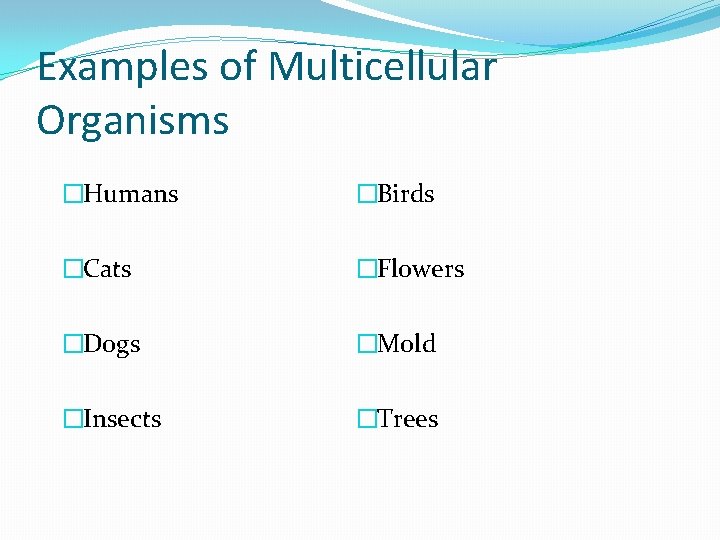 Examples of Multicellular Organisms �Humans �Birds �Cats �Flowers �Dogs �Mold �Insects �Trees 