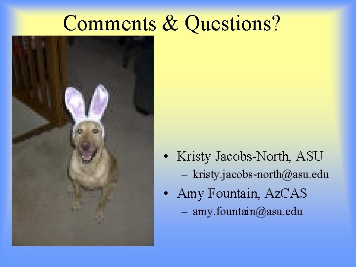 Comments & Questions? • Kristy Jacobs-North, ASU – kristy. jacobs-north@asu. edu • Amy Fountain,