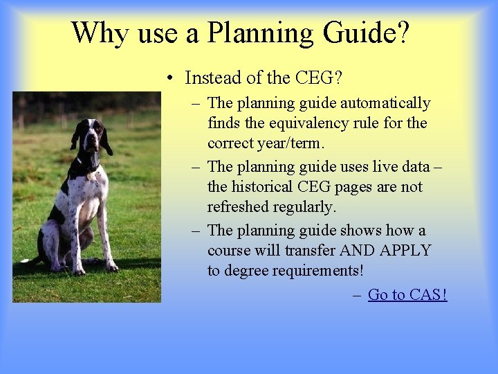 Why use a Planning Guide? • Instead of the CEG? – The planning guide