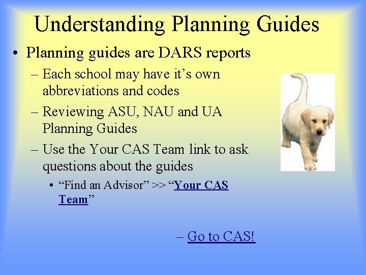 Understanding Planning Guides • Planning guides are DARS reports – Each school may have