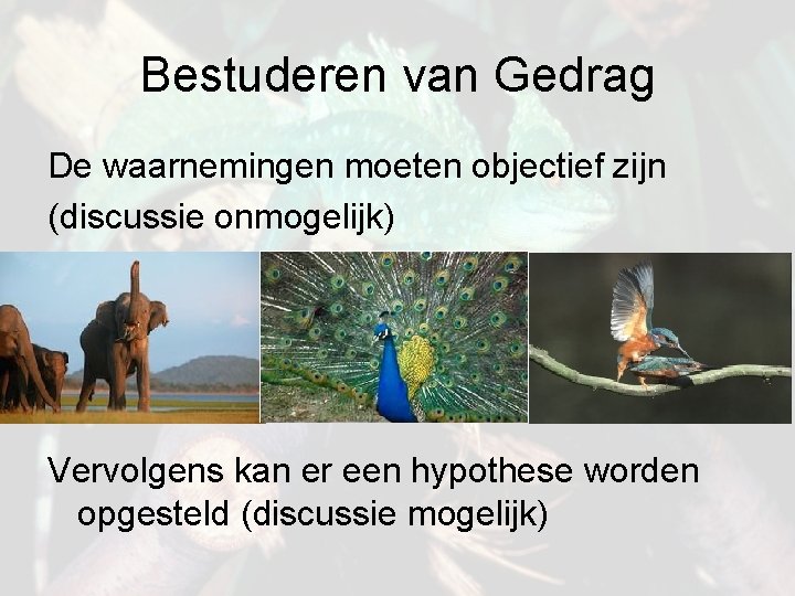 Bestuderen van Gedrag De waarnemingen moeten objectief zijn (discussie onmogelijk) Vervolgens kan er een