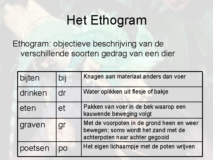 Het Ethogram: objectieve beschrijving van de verschillende soorten gedrag van een dier bijten bij