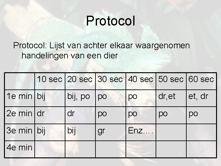 Protocol: Lijst van achter elkaar waargenomen handelingen van een dier 10 sec 20 sec